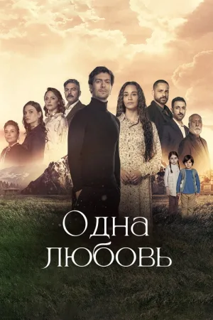 Одна любовь — постер