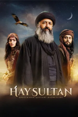 Hay Sultan — постер