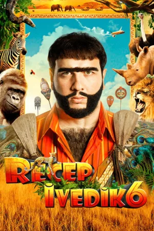 Реджеп Иведик 6 — постер