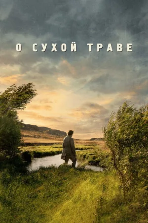 О сухой траве — постер