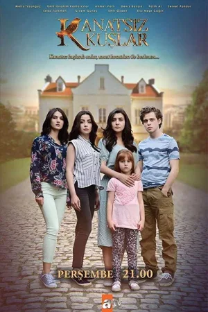 Птицы без крыльев — постер