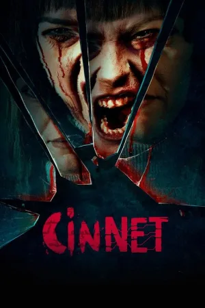 Cinnet — постер
