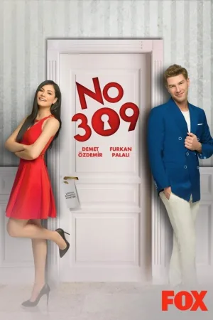 Номер 309 — постер