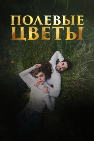 Дикие цветы — постер