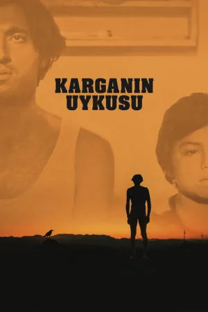 Karganın Uykusu — постер